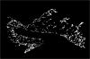 sirene